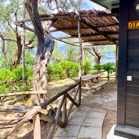 Bungalow 4 personen - Superieur