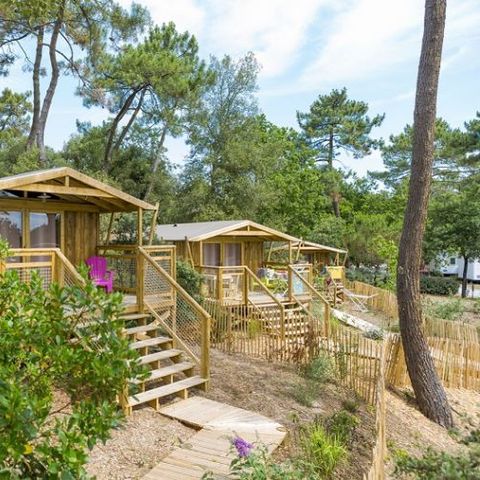 UNIEKE ACCOMMODATIE 5 personen - Ecolodge Premium Sweet