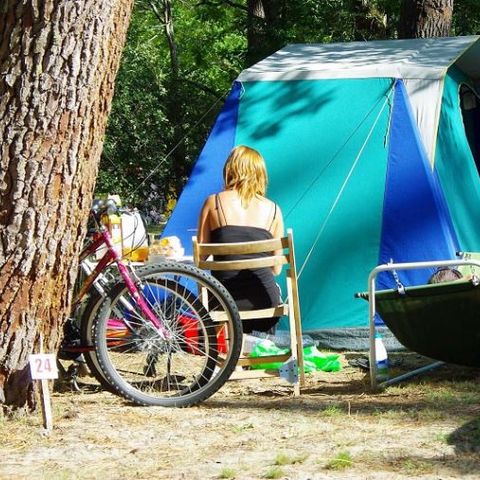 Kampeerplaats - Premium +