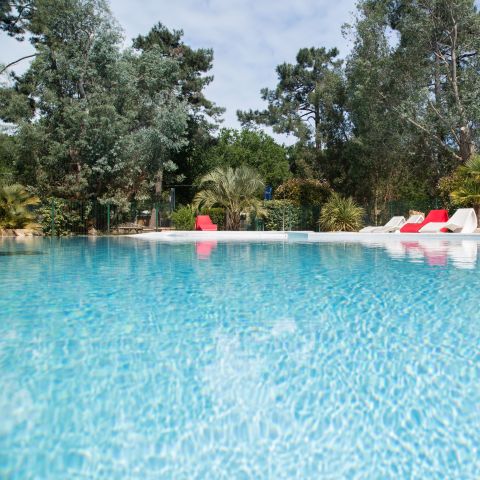 Nicoll's Camp/Pins - Gironde - Afbeelding N°2