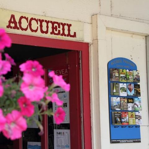 Camping la Cascade - Yonne - Afbeelding N°4