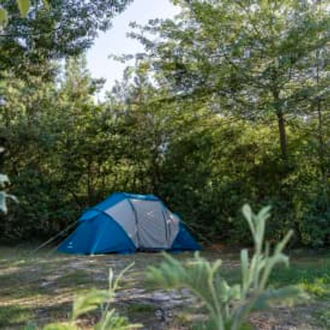 Kampeerplaats - Locatie Natuur