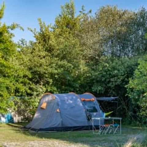 STAANPLAATS - Locatie Natuur