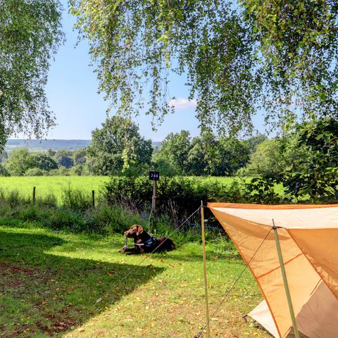 Kampeerplaats - Kampeerplaats met electriciteit