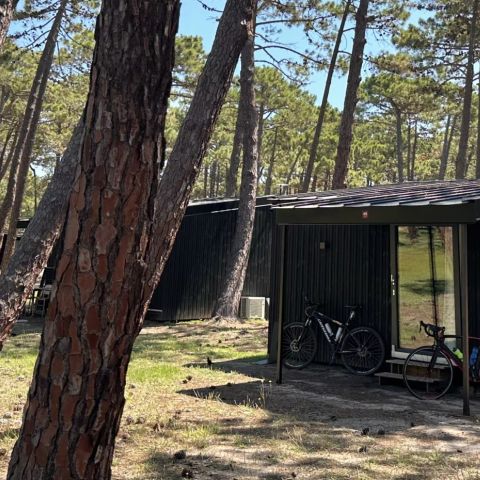 Bungalow 4 personen - PINEDE 2/4 PERSONEN