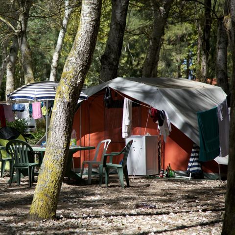 Kampeerplaats - Standplaats pakket