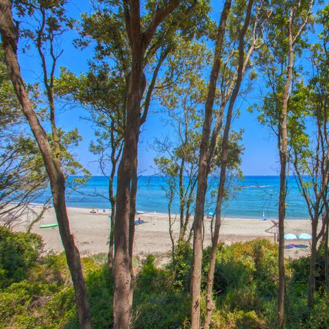 Villa 2 personen - Mini Villa Type A - Zeezijde