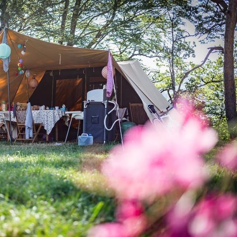 tent 6 personen - Grote De Waard tent - zonder sanitair