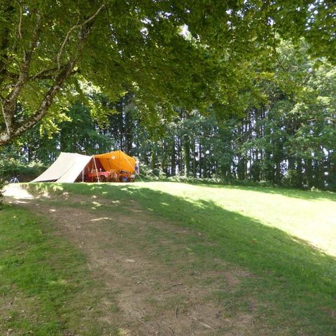 Tent 6 personen - Grote De Waard tent - zonder sanitair