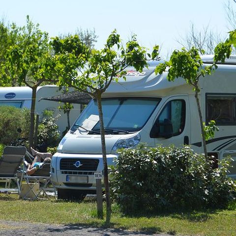 Kampeerplaats - Klassiek – Caravan - Camper of tent – met elektriciteit