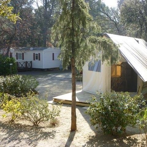 Safaritent 4 personen - Junior Tent 21 m² (zonder sanitair) - 2 slaapkamers