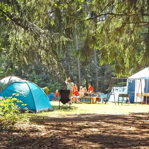 Camping Paradis - Albret - Landes - Afbeelding N°6
