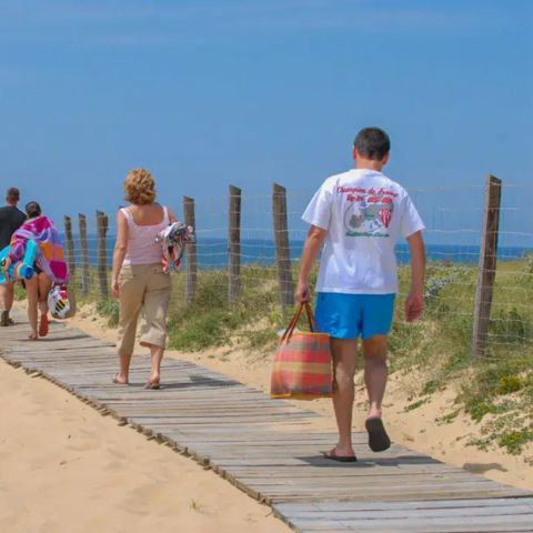 Camping Paradis - Albret - Landes - Afbeelding N°4