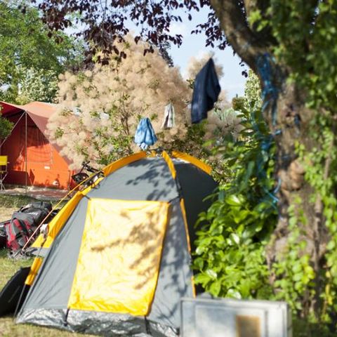 Kampeerplaats - Comfort standplaats - 80m² pakket