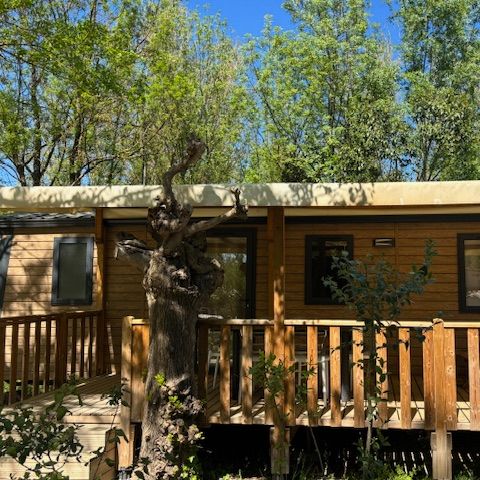 Safaritent 6 personen - Lodge Safari