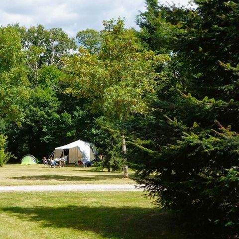 STAANPLAATS - Grote Comfort standplaats 120m² pakket