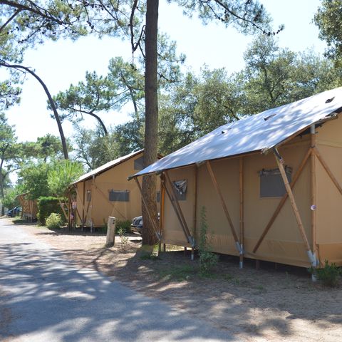 Camping Les Pins d'Oléron  - Charente-Maritime - Afbeelding N°4