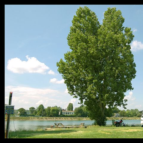 STAANPLAATS - Vissen