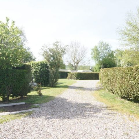 Camping La Peupleraie - Seine-et-Marne - Afbeelding N°6