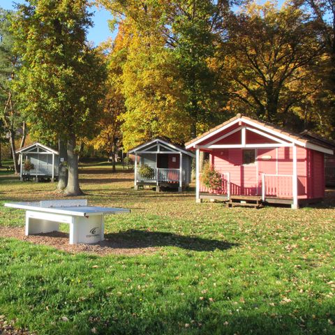 Bungalow 4 personen - CABIN zonder sanitair