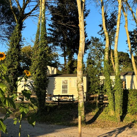 Stacaravan 2 personen - 02-Mobil-Home Mitoyen Standard 17m2 (1bed - 1/2 pers.) + TV + Airconditioning - prijs voor 2 personen