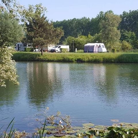 STAANPLAATS - Kale standplaats voor tent, caravan of camper (met elektriciteit)