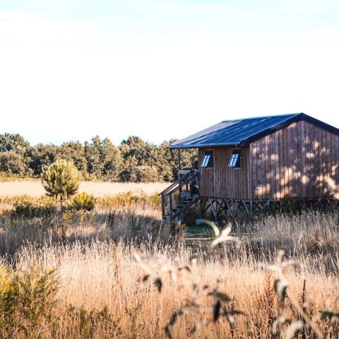 UNIEKE ACCOMMODATIE 4 personen - LODGE