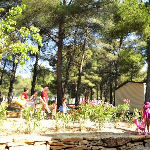 Camping AEC Vacances Les Dauphins - Var - Afbeelding N°5