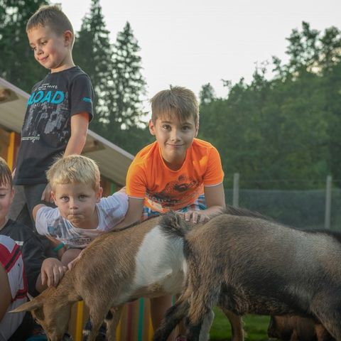 Kleinenzhof Family Resort - Baden-Württemberg - Afbeelding N°4