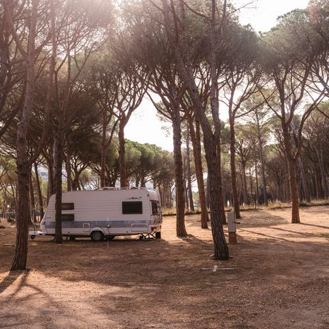Kampeerplaats - PLUS standplaats voor campers (tenten niet toegestaan)