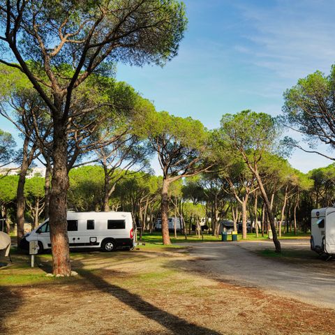 STAANPLAATS - Kampeerplaatsen voor campers en caravans (tenten niet toegestaan)