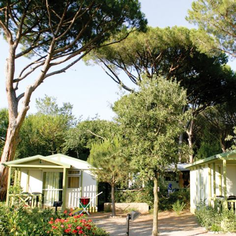 Chalet 5 personen - Cottage Club 5