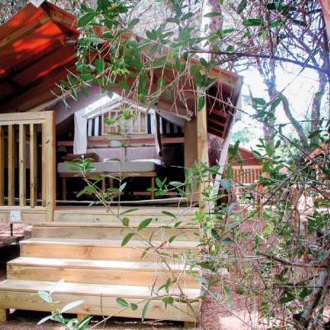 Safaritent 2 personen - Mini Lodge - zonder sanitair