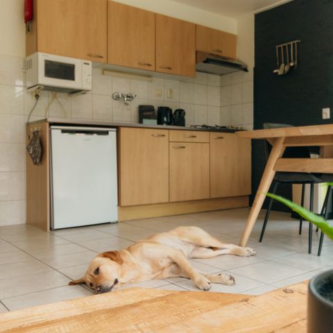 Bungalow 8 personen - IJssel Plus (4+4)