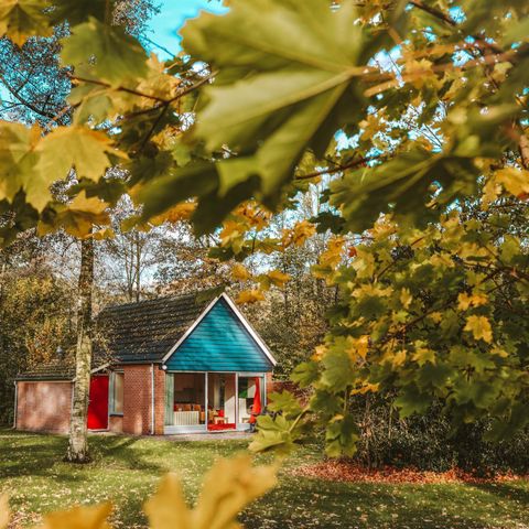 Bungalow 8 personen - IJssel Plus (4+4)