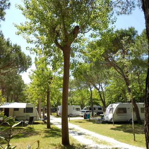 STAANPLAATS - Hond (Camper max 7mt)