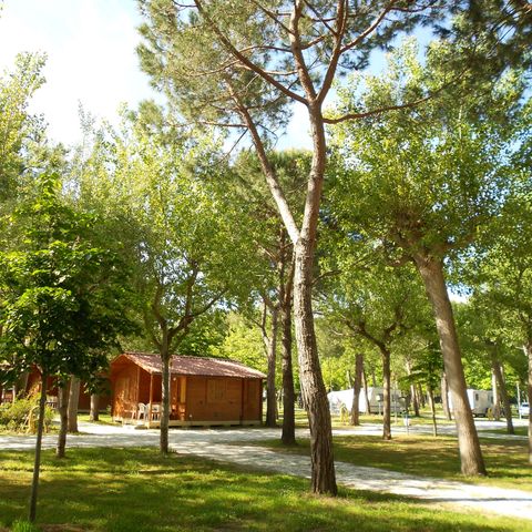 Chalet 4 personen - Standaard