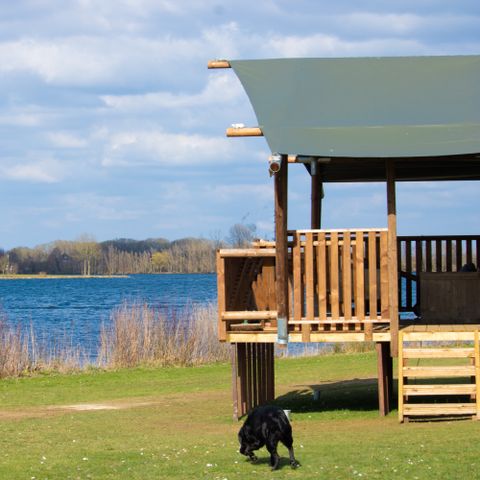 Vodatent Recreatiepark Riverside Outdoor & Events     - Camping West-Maas und Waal - Afbeelding N°4