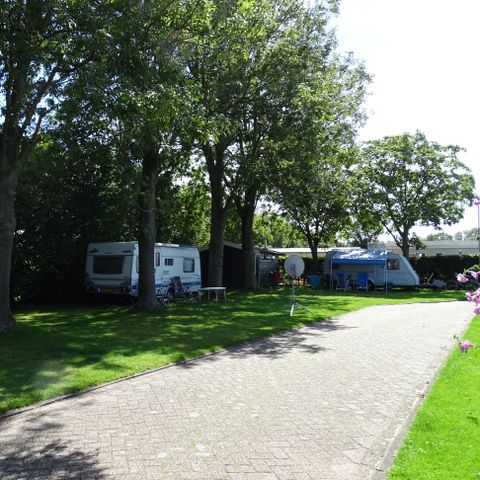 Vodatent Camping de Hof van Eeden - Camping Leiden - Afbeelding N°6