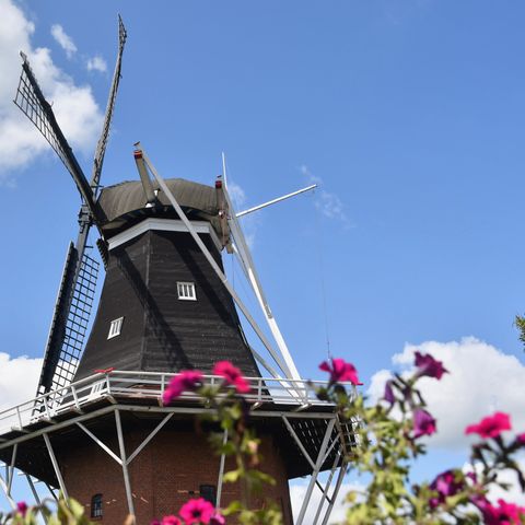 Vodatent Recreatiepark Westerkwartier - Camping Westerkwartier - Afbeelding N°5