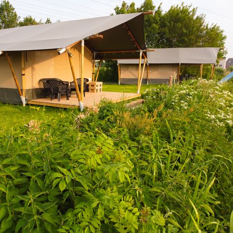 Safaritent 6 personen