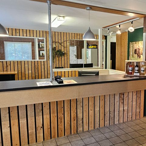 Vakantiepark het Timmerholt  - Midden-Drenthe - Afbeelding N°5