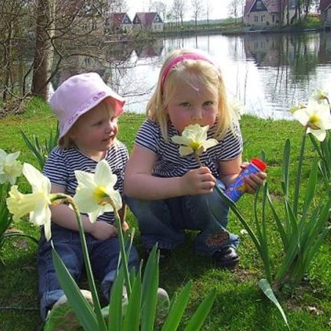 Vakantiepark het Timmerholt  - Midden-Drenthe - Afbeelding N°3