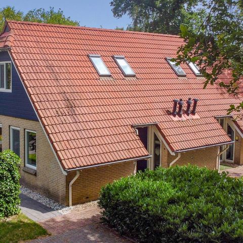 Groepsaccommodatie 10 personen - Landhuis 162