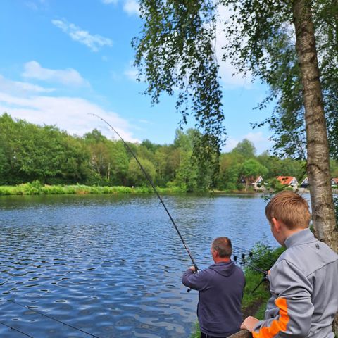 Vakantiepark het Timmerholt  - Midden-Drenthe - Afbeelding N°5