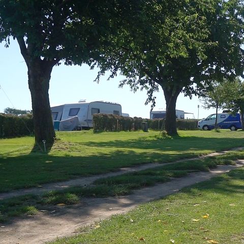Vodatent Camping la Dolce Vita - Camping Voerendaal - Afbeelding N°2