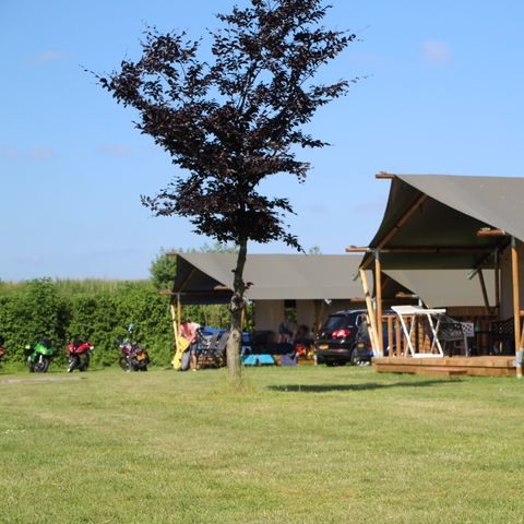 Safaritent 4 personen - incl. sanitair