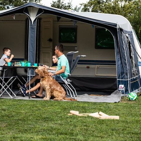 STAANPLAATS - Comfortplaats M hond toegestaan