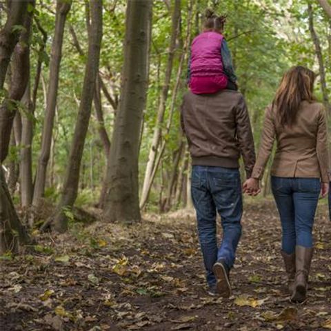 Roompot Kustpark Klein Poelland - Renesse - Afbeelding N°6