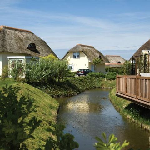 Landal Buitenhof Domburg - Veere - Afbeelding N°5